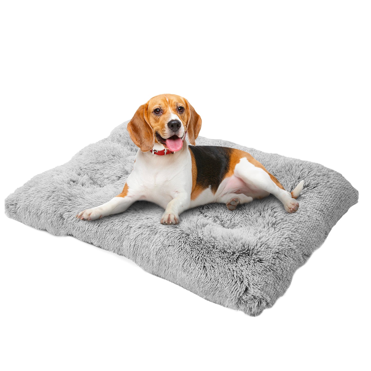 Plush Dog Bed