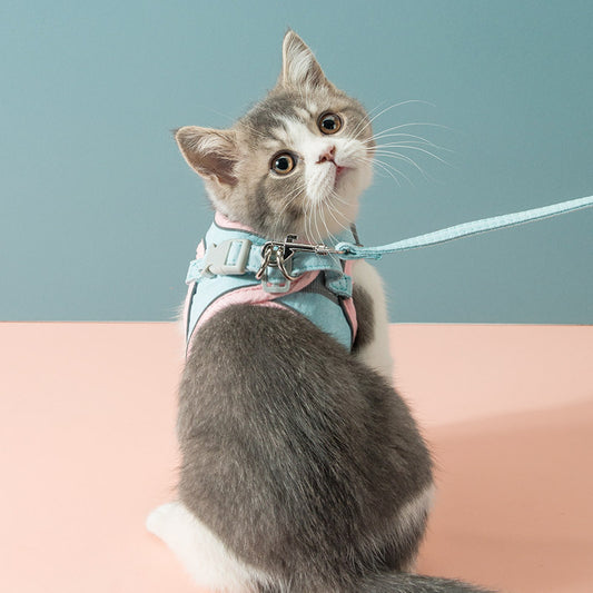 Escape-Proof Cat Harness