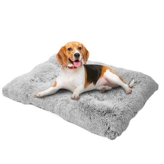 Plush Dog Bed