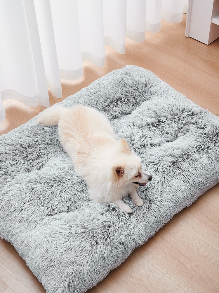 Plush Dog Bed