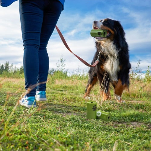 Eco-Friendly Pet Poo Bags